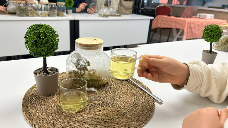 Kadın ve Aile Birimimiz ile Şifa Demliği Etkinliği: Bitkilerin Diliyle Doğal ve Sağlıklı Yaşamın Sırları Fındıkzade'de Paylaşıldı