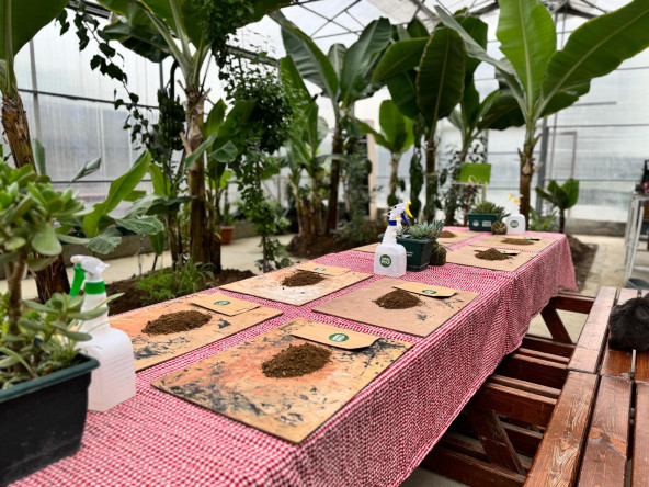 Ayvansaray Bahçe'de Sürdürülebilir Yaşamın İzinde: Anneler ve Çocuklarımızla Tohum Toplarıyla Doğaya Umut Bırakan Etkinlik