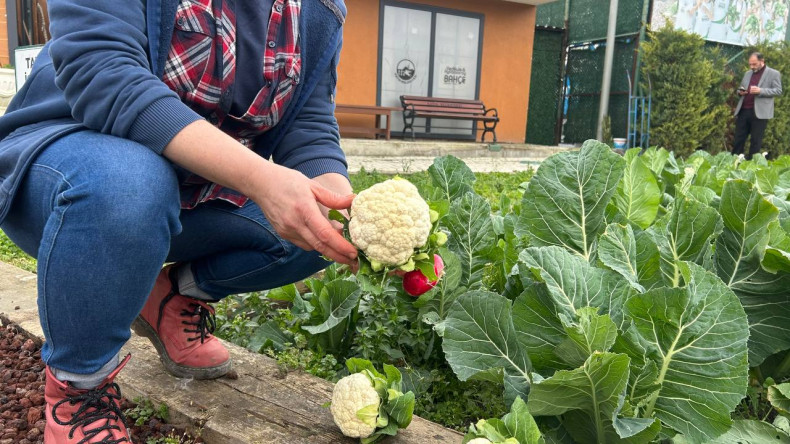 Kadın ve Aile Birimimiz ile Yedikule Bahçe İş Birliğinde, Diyetisyen Eşliğinde Kış Sofrasına Sağlıklı Dokunuş