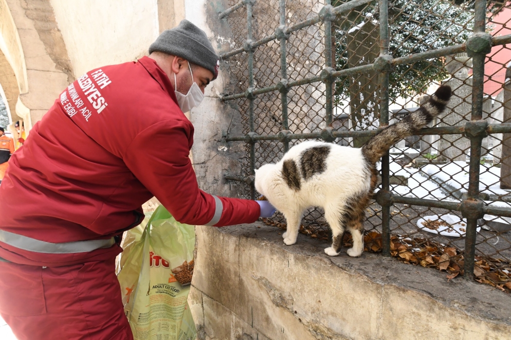 Minik Dostlarımızın Yanındayız haberi