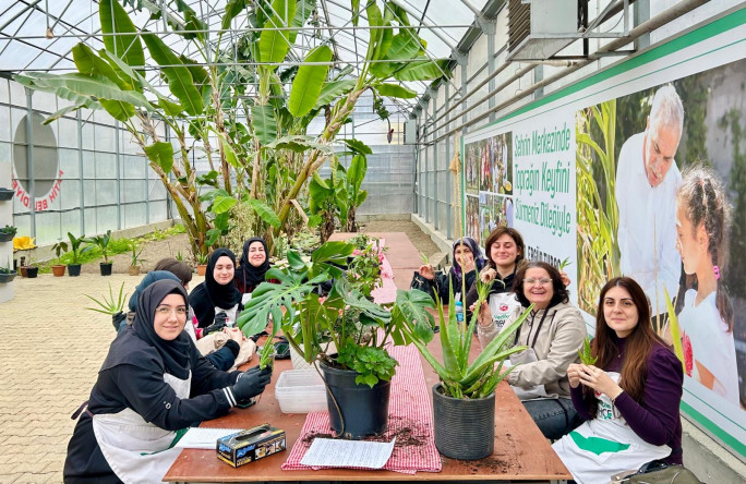 Yedikule Bahçe'de Temel Bitki Bakımı Programı: Bitki Sağlığı Konusunda Bilgi ve Çözüm Noktası