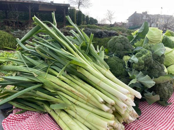 Yedikule Bahçe Manav'dan Sofralarınıza Doğallığın Taptaze Hali