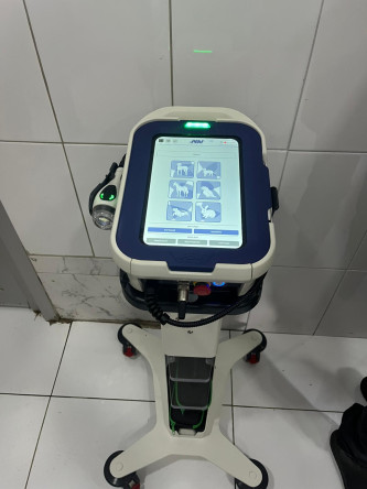 Sokak Hayvanları Tedavi Merkezimizde Biyomedikal Lazerin Veteriner Uygulamalarına Yönelik Eğitim Programı