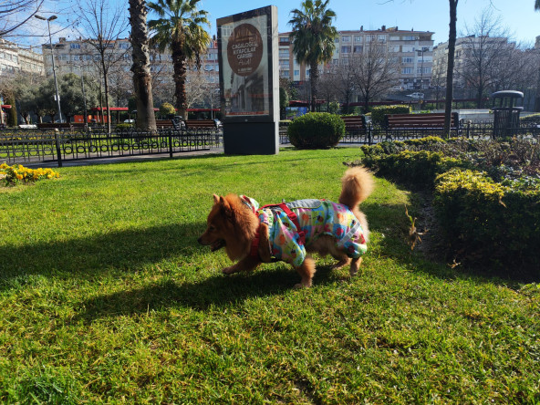 Fındıkzade Çukurbostan Yaşam Merkezimizin Sevimli Maskotu Bobo, Mahallemize Neşe Katıyor!
