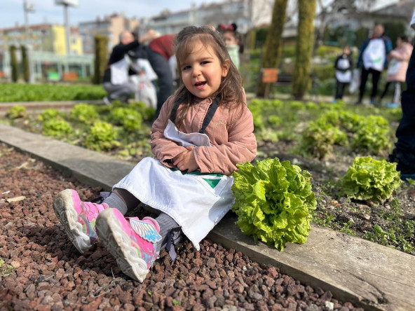 Yedikule Bahçe'de Kış Hasadı: Babalar ve Çocuklarımız Toprağın Bereketini Birlikte Paylaştı