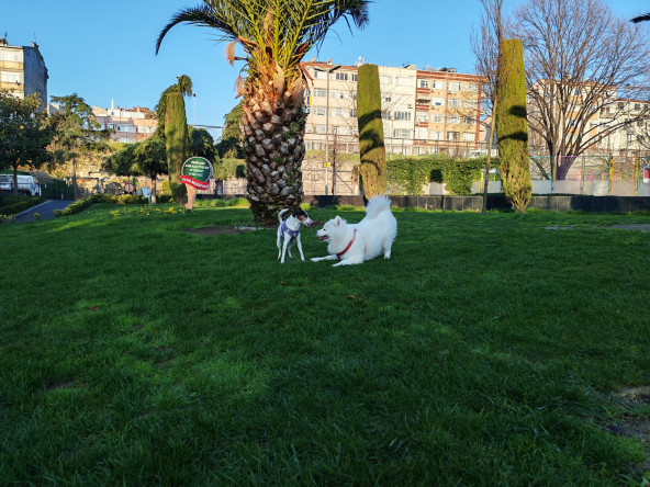 Minik Dostlarımız da Fındıkzade Yaşam Merkezi'nde Güzel Havaların Tadını Çıkarıyor
