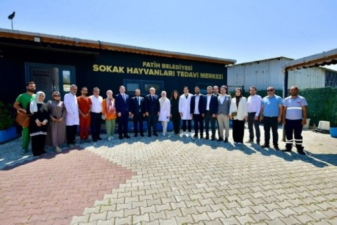 Sokak Hayvanları Tedavi Merkezi Hizmetleri