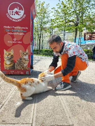 Sokak Hayvanları Sağlık Taraması