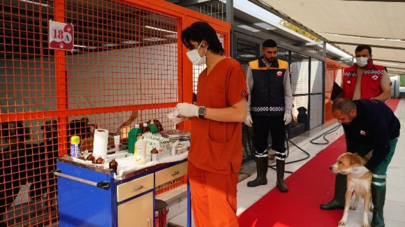 Yedikule Sahipsiz Hayvan Bakımevi Yeniden İnşa Projesi 