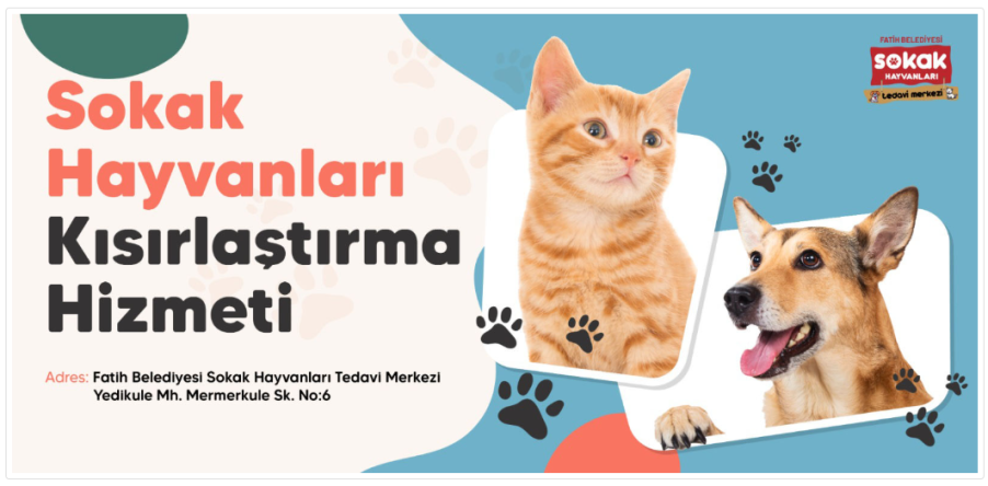 Online Kısırlaştırma Randevusu