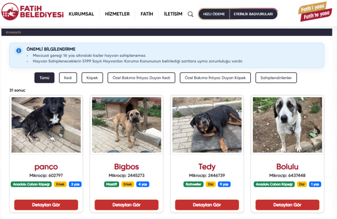 Sahiplendirme Faaliyetleri