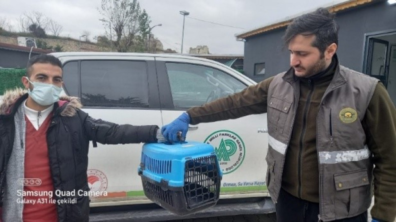 Kurumlararası İşbirliği ve Protokoller