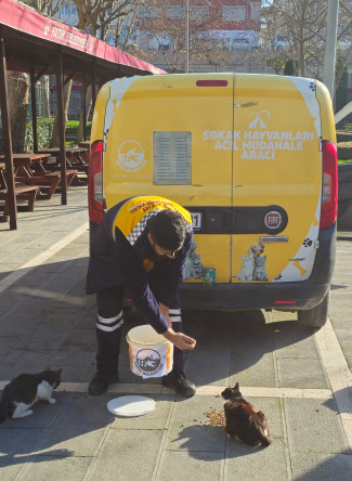 Açık Alan Besleme Faaliyetleri