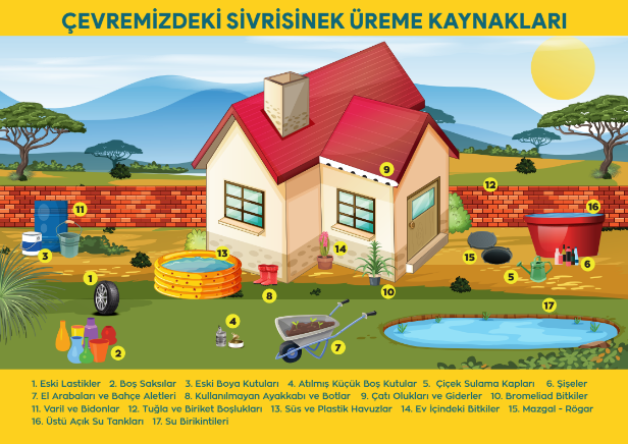 Sivrisinek ile Kültürel Mücadele Tanıtım Broşürü