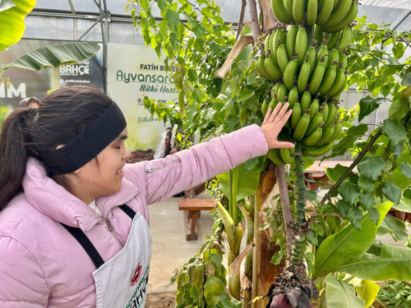 Ayvansaray Bahçe'de Baharın Bereketi: Vatandaşlarımızla Hasat Zamanı