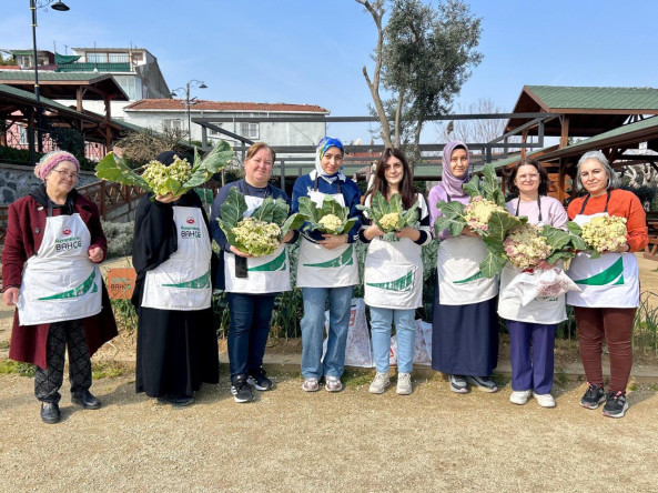 Ayvansaray Bahçe'de Vatandaşlarımızla Karnabahar Hasadı Buluşması