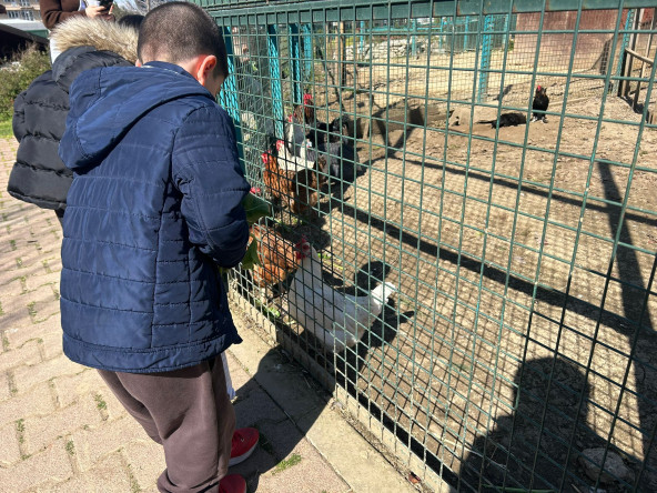 Öğrencilerimizle Yedikule Bahçe'de Doğayla İç İçe Bir Gün