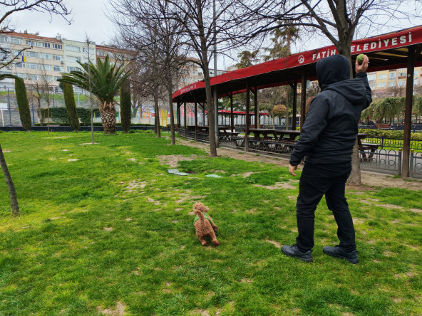 Fındıkzade Çukurbostan Yaşam Merkezimizin Sevimli Maskotu Bobi, Mahallemize Neşe Katıyor!