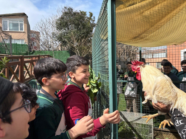 Ayvansaray Bahçe'de Baharın Bereketi: Çocuklarımızla Hasat Zamanı