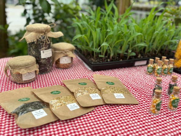 Ayvansaray Bahçe'de Veliler ve Çocuklarımızla Keyif Dolu ve Öğretici Atalık Tohum Şenliği