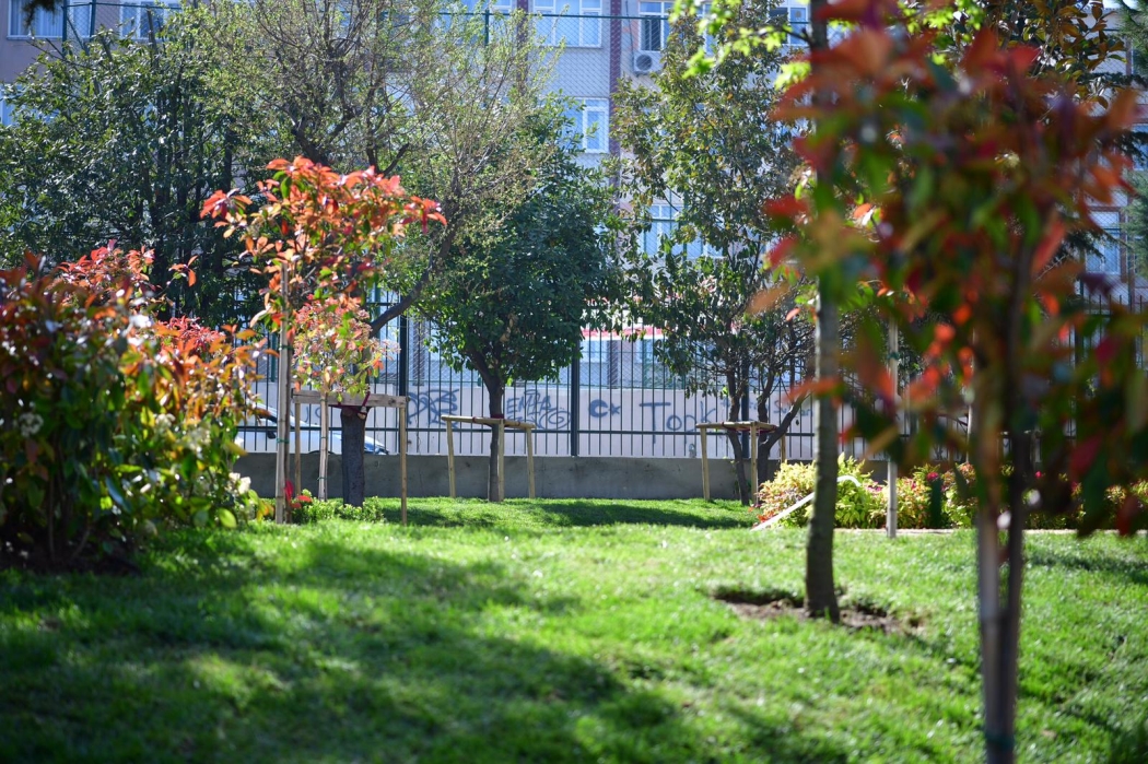 Başkan Turan Sefa Bostanı Parkı'nda İncelemelerde Bulundu