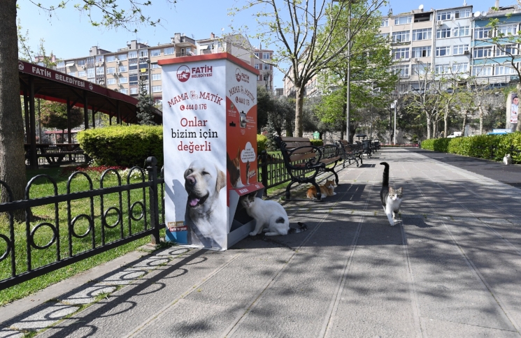 Sevimli Dostlarımız Mamamatik İle Besleniyor