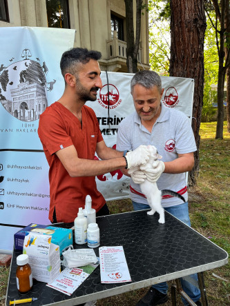 Belediyemizden Süleymaniye'de Sahipsiz Hayvanlara Yerinde Sağlık Taraması ve Tedavi Hizmeti