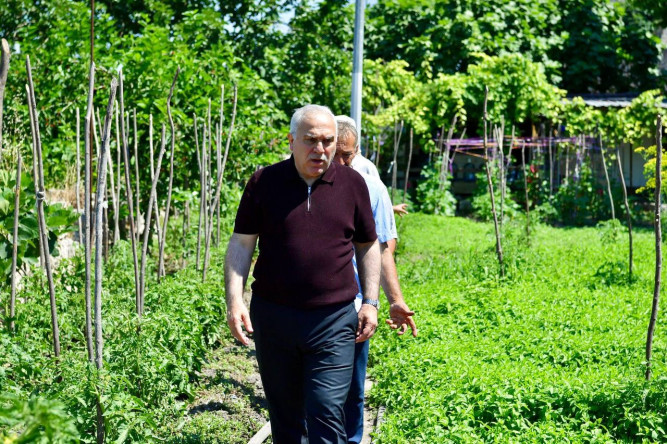 Başkan Turan, Prof. Dr. Cemal Kafadar, Yedikule Bostancıları Derneği ve Bostancılar Yedikule Bostanları Projesi'ni Yerinde Değerlendirdi