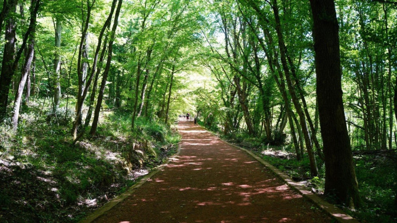 Vatandaşlarımız, Kadın ve Aile Birimimizin Belgrad Ormanı'ndaki Trekking Etkinliğiyle Doğayla Buluştu