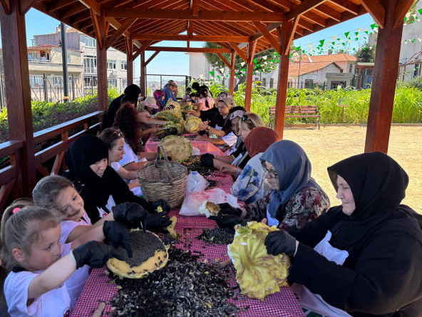 Ayvansaray Bahçe'de Ayçiçeği Hasadıyla Doğa ve Üretim Bir Araya Geldi