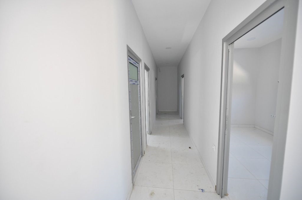 Fatih'te Sokak Hayvanları Emin Ellerde Olacak