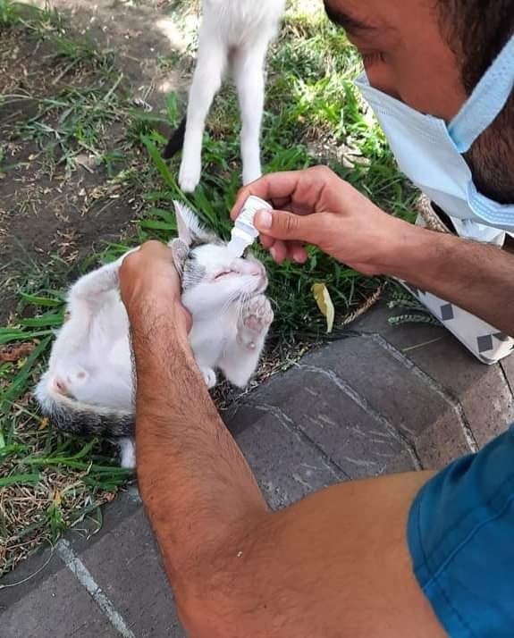 Sokak Hayvanları İçin Yeni Bir Hizmet Daha
