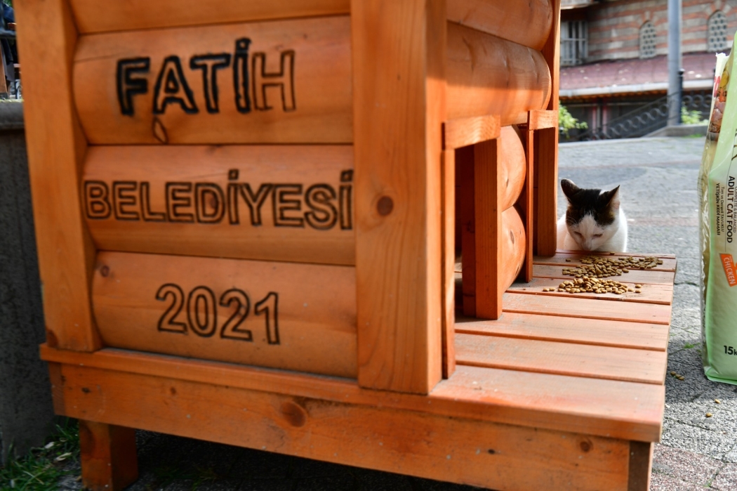 Sevimli Dostlarımızın Ahşap Evleri Hazır