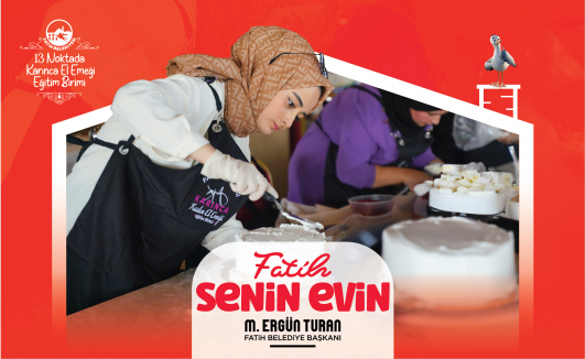 Senin Evin karınca
