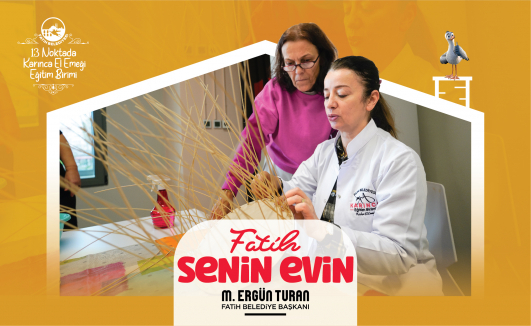 Senin Evin karınca1