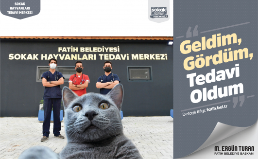 Sokak Hayvanları Tedavi Merkezi Geldim Gördüm