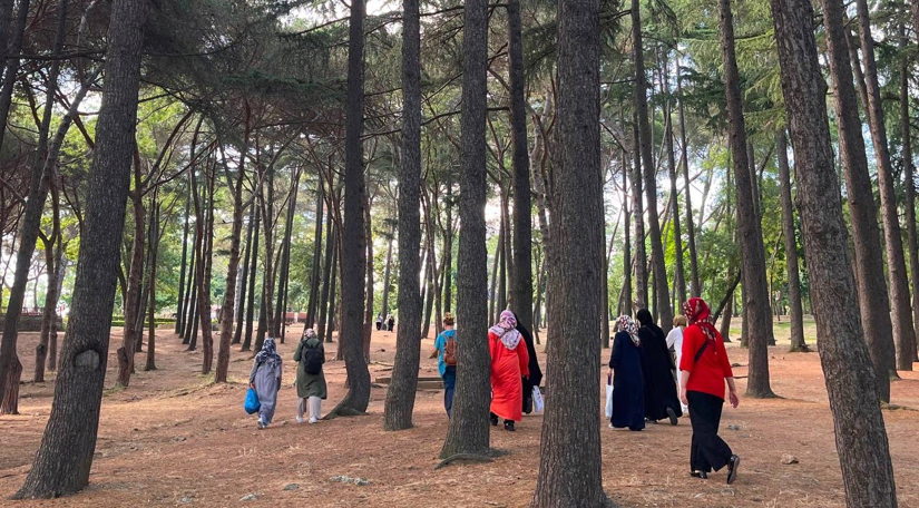 KARINCA El Emeği Eğitim Birimimizden Japon Bahçesi ve Emirgan Korusu'na Kültür ve Doğa Gezisi