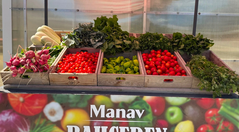 Yedikule Bahçe Manav'dan Sofralarınıza Doğallığın Taptaze Hali