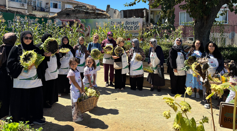 Ayvansaray Bahçe de Ayçiçeği Hasadıyla Doğa ve Üretim Bir Araya Geldi Ayvansaray Bahçe de Ayçiçeği Hasadıyla Doğa ve Üretim Bir Araya Geldi