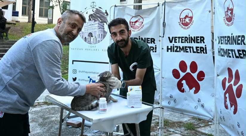 Fatih Belediyesi nden İstanbul Üniversitesi Kampüsündeki Can Dostlarımıza Yerinde Sağlık ve Bakım Hizmeti Fatih Belediyesi nden İstanbul Üniversitesi Kampüsündeki Can Dostlarımıza Yerinde Sağlık ve Bakım Hizmeti