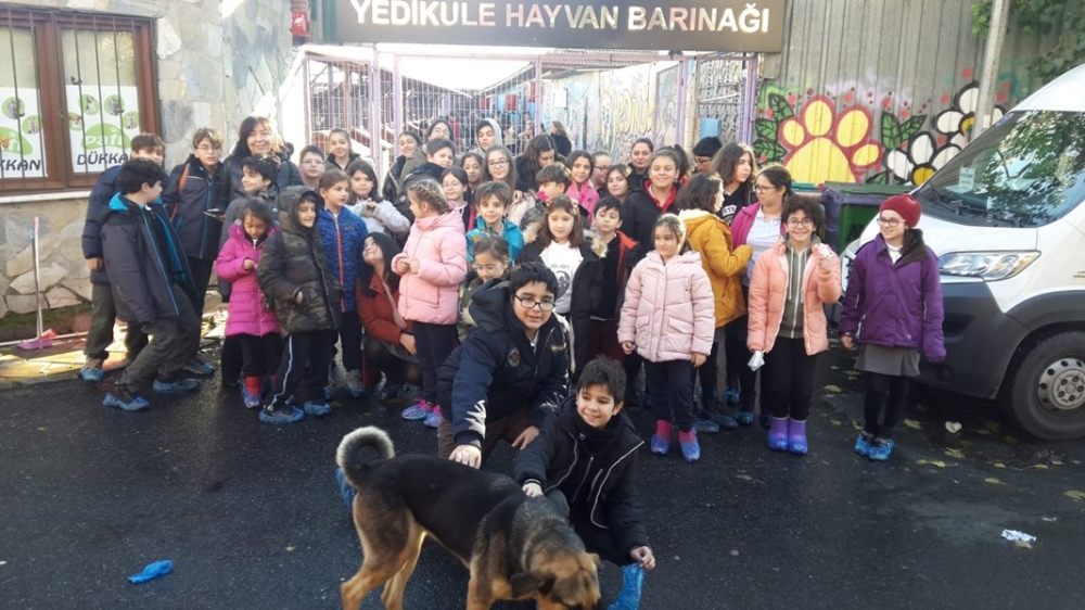 Çocuklar Patili Dostlarını Yalnız Bırakmıyor Çocuklar Patili Dostlarını Yalnız Bırakmıyor