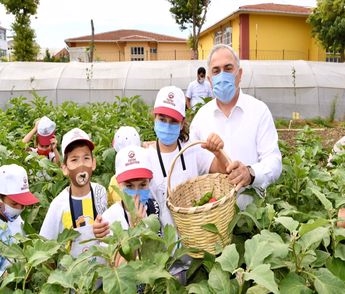 Yedikule Bahçe de Organik Tarım Başladı