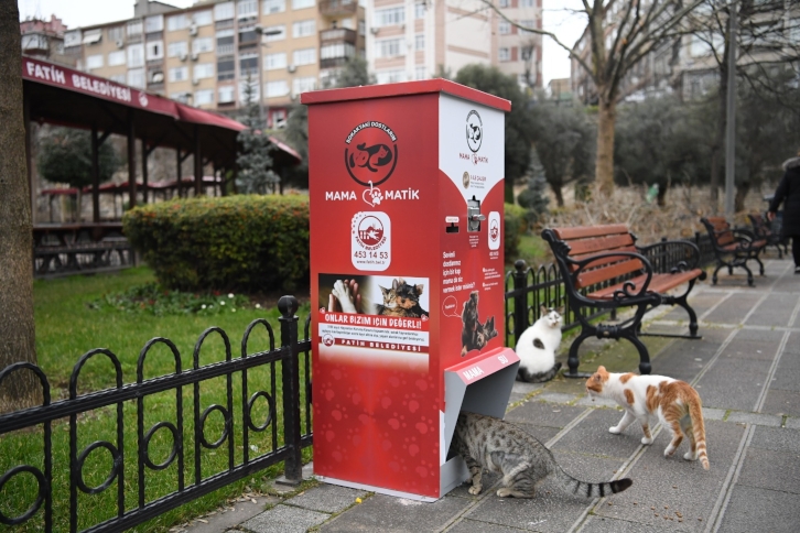 Sevimli Dostlarımız Mamamatik İle Beslenecek Sevimli Dostlarımız Mamamatik İle Beslenecek