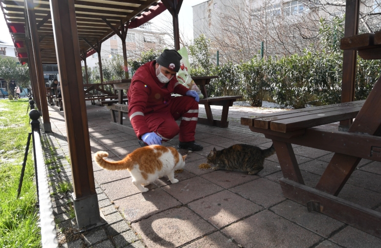 Minik Dostlarımızın Yanındayız