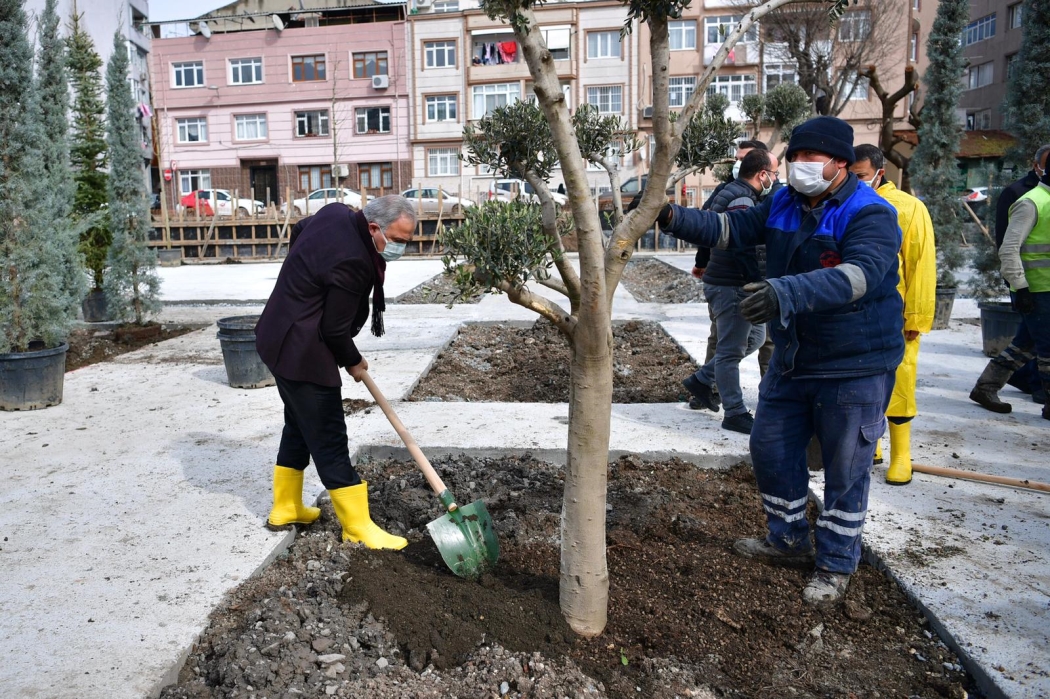 Daha Yeşil Bir Fatih İçin Yeni Ağaçlar Dikildi