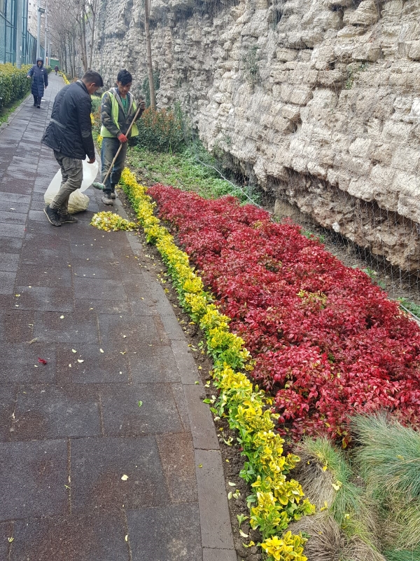Fatih te Bahar Hazırlığı Fatih te Bahar Hazırlığı