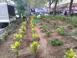 Kadınlar Pazarı nda Tahrip Olan Yeşil Alanlar Peyzaj Çalışmaları ile Güzelleştirildi