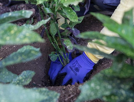 Fındıkzade Yaşam Merkezi Yeşillendi Fındıkzade Yaşam Merkezi Yeşillendi