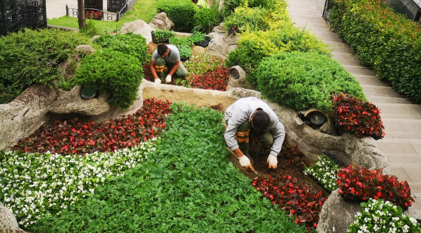 Rengârenk Bir Yaz İçin Çiçekler Dikiliyor Rengârenk Bir Yaz İçin Çiçekler Dikiliyor