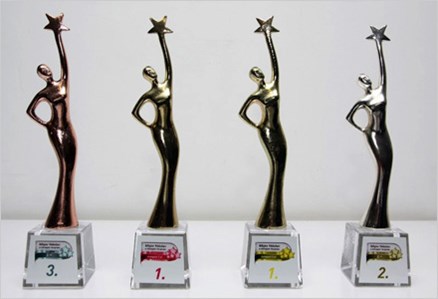 Fatih Municipality Received 4 Awards on Informatics